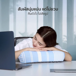 CHERISH TEMPSoft หมอนหนุนเย็น เมมโมรี่โฟม รุ่น ICY JELLY หมอนเจลลี่ผ้าเย็น ลดอุณภูมิได้ 1-3 องศา