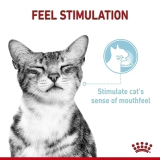 [12 ซอง] Royal Canin Sensory Feel Pouch Jellyอาหารเปียกแมวโตกินยากอายุ12เดือนขึ้นไป (เจลลี่, Wet Cat Food, โรยัล คานิน)