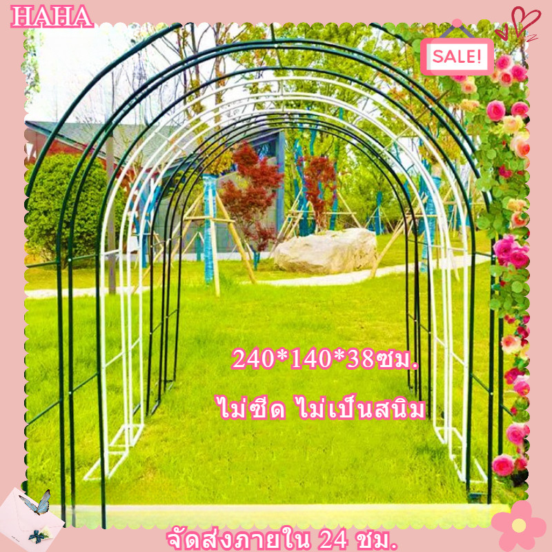 240x140x38cm ซุ้มกุหลาบ ซุ้มดอกไม้ โครงไม้เลื้อย ซุ้มแต่งงาน ซุ้มเหล็กโค้ง ซุ้มไม้ระแนง ซุ้มงานแต่ง