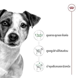 [12 ซอง] Royal Canin Mini Adult Pouch Gravy อาหารเปียกสุนัขโต พันธุ์เล็ก อายุ 10 เดือน-8 ปี (Wet Dog Food, โรยัล คานิน)