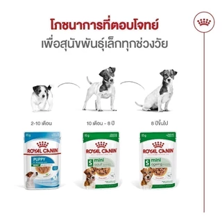 [12 ซอง] Royal Canin Mini Ageing 12+ Pouch Gravy อาหารเปียกสุนัขสูงวัย พันธุ์เล็ก อายุ8ปีขึ้นไป (เกรวี่, โรยัล คานิน)