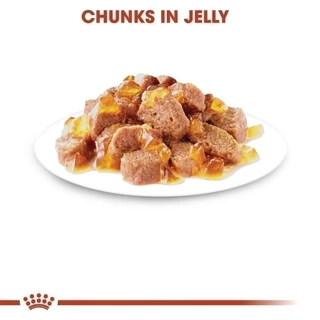 [12 ซอง] Royal Canin Light Weight Care Pouch Jelly อาหารเปียกแมวโต ควบคุมน้ำหนัก อายุ12เดือนขึ้นไป (เจลลี่, โรยัล คานิน)