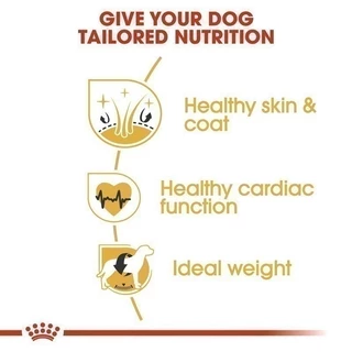 Royal Canin Golden Retriever Adult 12kg อาหารเม็ดสุนัขโต พันธุ์โกลเด้นรีทรีฟเวอร์ อายุ15เดือนขึ้นไป Dog Food,โรยัล คานิน