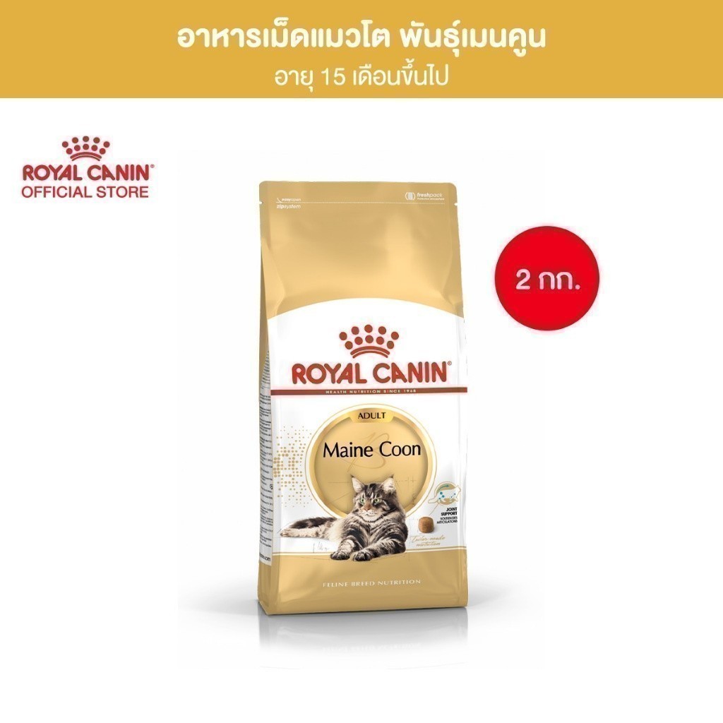 Royal Canin Mainecoon Adult 2kg อาหารเม็ดแมวโต พันธุ์เมนคูน อายุ 15 เดือนขึ้นไป (Dry Cat Food, โรยัล คานิน)