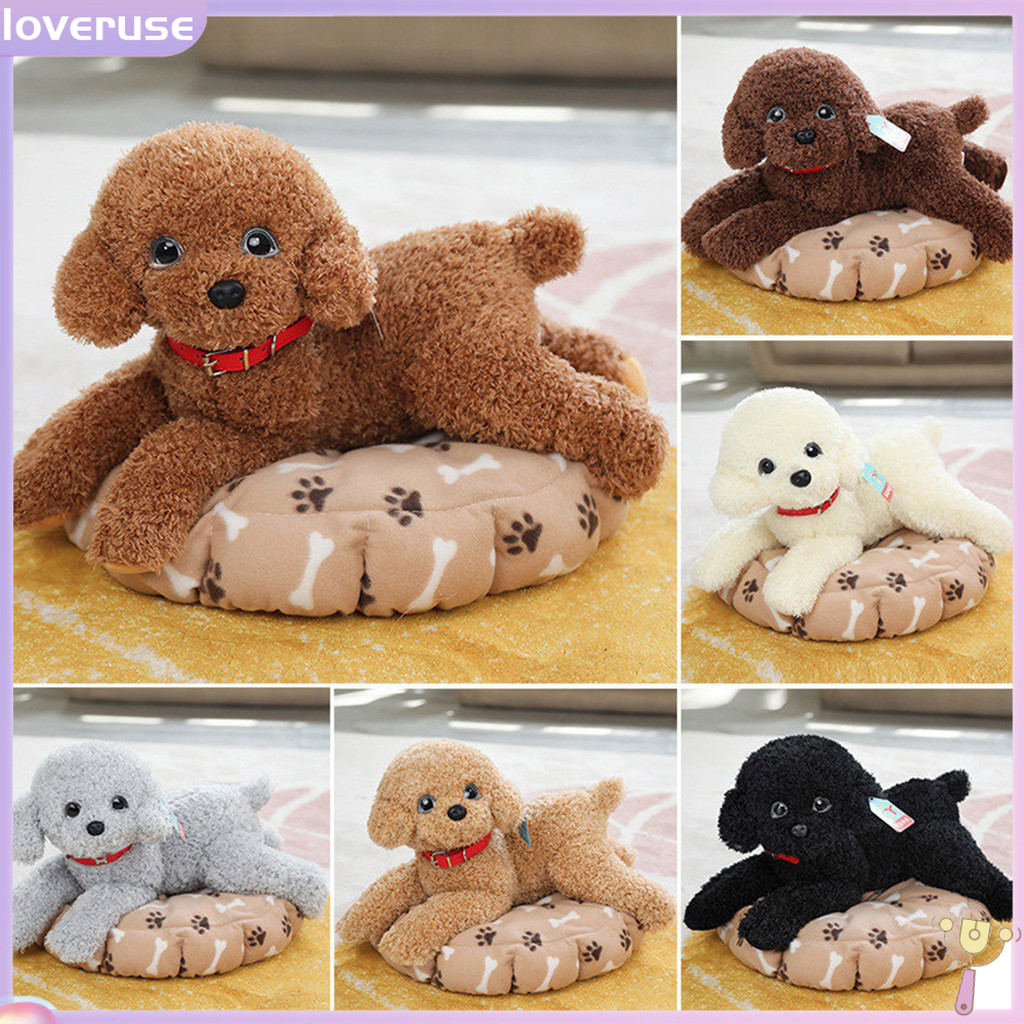 Loveruse ตุ๊กตาสุนัขพุดเดิ้ลจําลอง น่ารัก เต็มท่านอน ตุ๊กตาสัตว์ ยัดไส้ ของเล่นสุนัข พร้อมปลอกคอ เสื้อผ้า ตกแต่งห้องนั่งเล่น