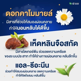 ฟรี! จี'ไนท์ เอ็กซ์ตร้า แคปซูล 1 ซอง HandyHerb G'nite Capsule จี'ไนท์ แคปซูล สมุนไพรก่อนนอน ชนิดแผง 1 แผง (10 แคปซูล)