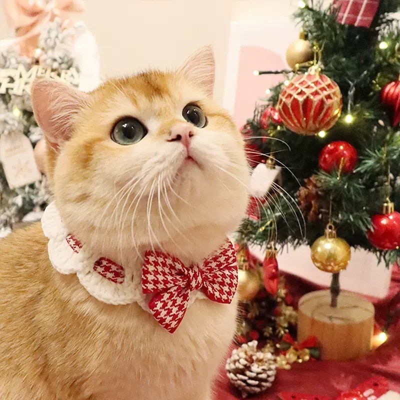 ปลอกคอสัตว์เลี้ยงน่ารักสําหรับแมวฉุดดอกไม้การ์ตูนกระต่ายเบลล์รายการสร้อยคอสุนัข