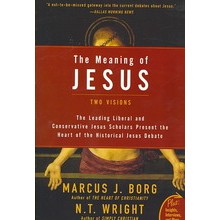 The Meaning of Jesus : Two Visions [Paperback]