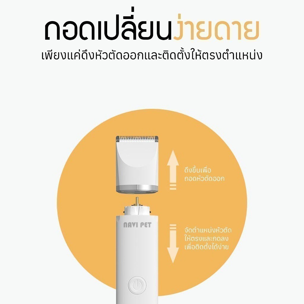 รูปภาพ 7