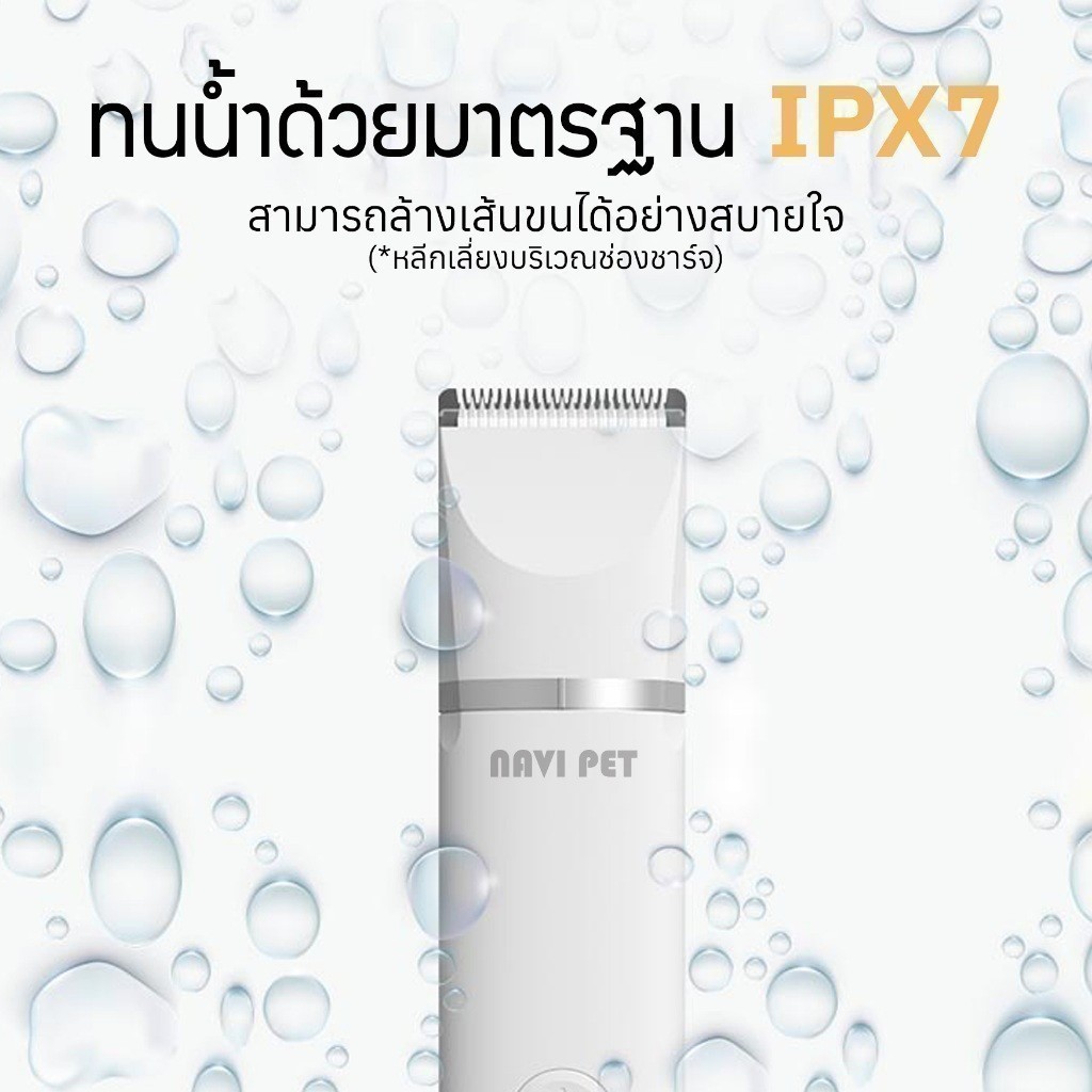 รูปภาพ 5