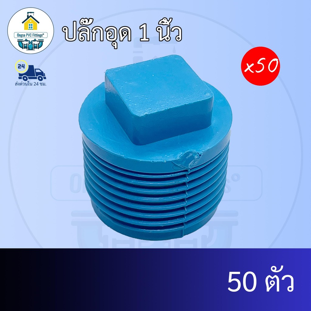 (แพค50ตัว) ปลั๊กอุด 1 นิ้ว ตัวอุดพีวีซีเกลียวนอก 1นิ้ว ข้อต่อพีวีซี PVC ส่งไว ส่งทุกวัน ถูกคุ้ม ราคาโรงงาน