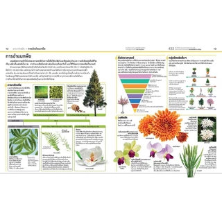 NANMEEBOOKS หนังสือ สารานุกรมความรู้ โลกของพืช : เสริมความรู้เยาวชน สารานุกรม