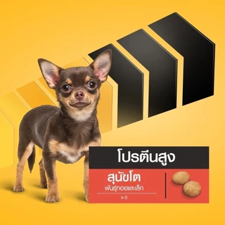 PEDIGREE เพดดิกรี โปร อาหารหมาพันธุ์ทอยและเล็กสูตรโปรตีนสูง 1.3 กก.