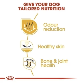 Royal Canin Bulldog Adult 12kg อาหารเม็ดสุนัขโต พันธุ์บูลด็อก อายุ 12 เดือนขึ้นไป (Dry Dog Food, โรยัล คานิน)