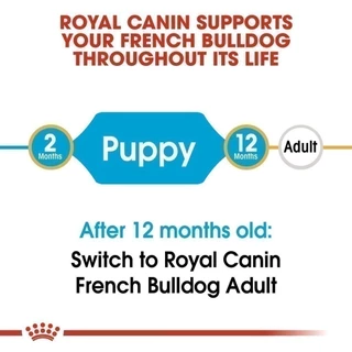 Royal Canin French Bulldog Puppy10kg อาหารเม็ดลูกสุนัข พันธุ์เฟรนช บูลด็อก อายุต่ำกว่า12เดือน(Dry Dog Food, โรยัล คานิน)