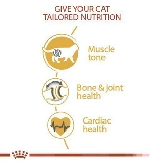 Royal Canin British Shorthair Adult2kg อาหารเม็ดแมวโตพันธุ์บริติช ชอร์ทแฮร์ อายุ12เดือนขึ้นไป(Dry Cat Food, โรยัล คานิน)