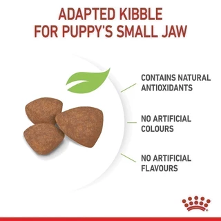 Royal Canin Mini Puppy 4kg อาหารเม็ดลูกสุนัข พันธุ์เล็ก อายุ 2-10 เดือน (Dry Dog Food, โรยัล คานิน)