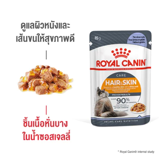 (New)Intense Beauty Pouch Jelly [12ซอง] อาหารเปียกแมวโตดูแลผิวหนังและเส้นขน อายุ12เดือนขึ้นไป(Wet Cat Food, โรยัล คานิน)