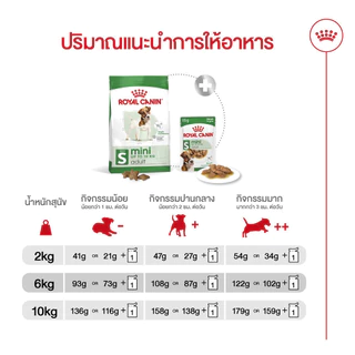 Royal Canin Mini Adult 800g อาหารเม็ดสุนัขโต พันธุ์เล็ก อายุ 10 เดือน–8ปี (Dry Dog Food, โรยัล คานิน)