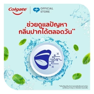[มี 2 แพ็คให้เลือก] คอลเกต พลักซ์ เกลือ สมุนไพร 500 มล. ช่วยลด กลิ่นปาก สดชื่นยาวนาน Colgate Plax Salt Herbal Mouthwash