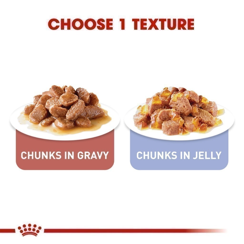 [เซตคู่สุดคุ้ม] Royal Canin Light Weight Care + Light Weight Care Jelly(12 ซอง) โรยัล คานิน อาหารแมวโต สูตรควบคุมน้ำหนัก - รูปที่ 4