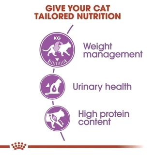 Royal Canin Sterilised 10kg อาหารเม็ดแมวโต ทำหมัน อายุ 1 ปีขึ้นไป (Dry Cat Food, โรยัล คานิน)