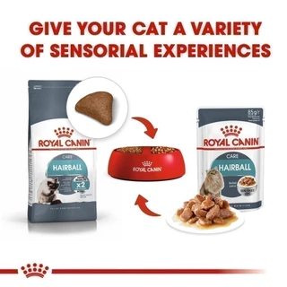 [เซตคู่สุดคุ้ม] Royal Canin Hairball Care + Hairball Care Jelly (12 ซอง) โรยัล คานิน อาหารแมวโต สูตรดูแลปัญหาก้อนขน