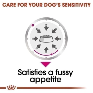 [12 ซอง] Royal Canin Exigent Pouch Loaf อาหารเปียกสุนัขโต ทุกขนาด ช่างเลือก (โลฟเนื้อละเอียด, Wet Dog Food, โรยัล คานิน)