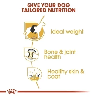 Royal Canin Labrador Retriever Adult 12kg อาหารเม็ดสุนัขโต พันธุ์ลาบราดอร์ รีทรีฟเวอร์ อายุ15เดือนขึ้นไป(โรยัล คานิน)