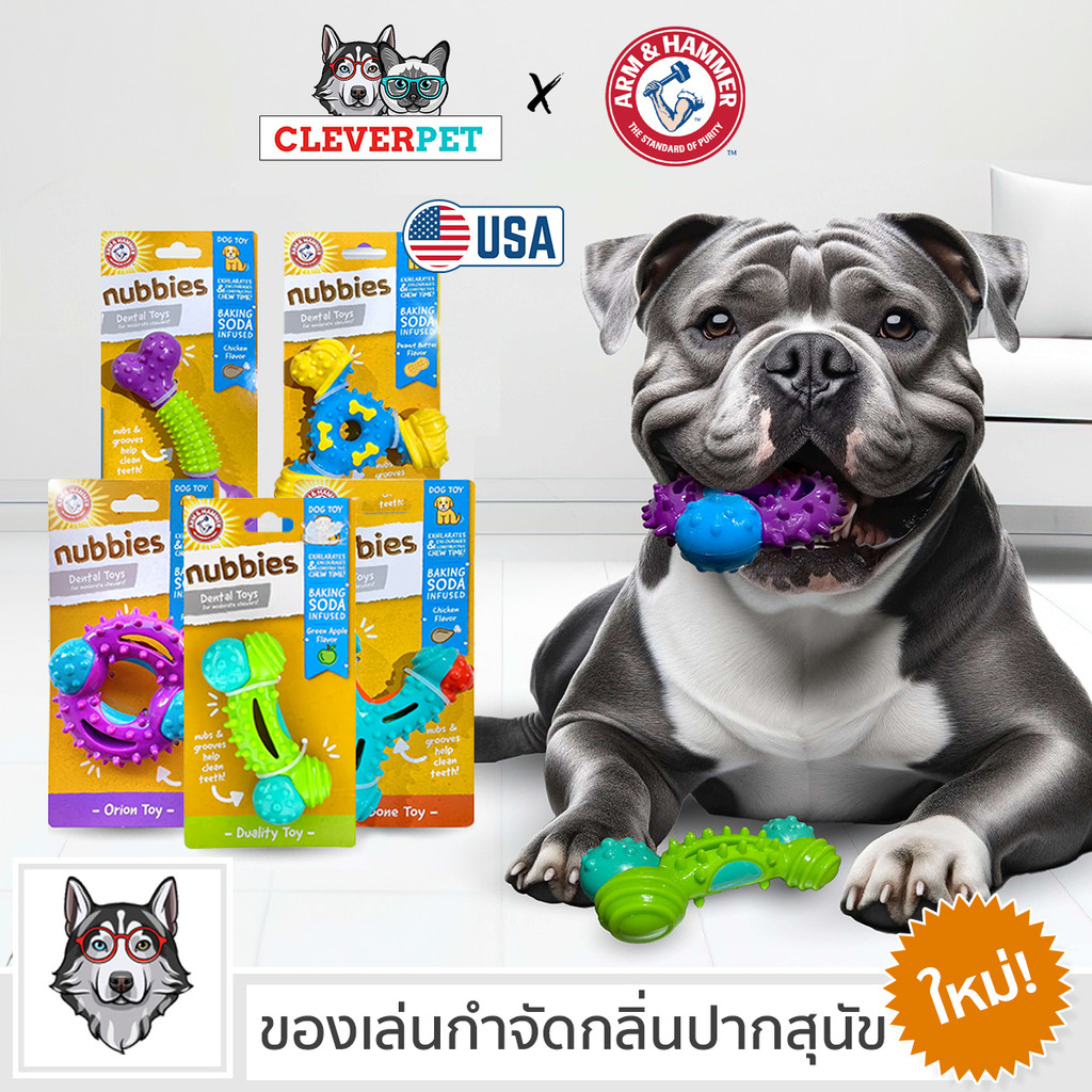 [ส่งฟรี ] ARM & HAMMER ของเล่นสุนัข ยางขัดฟัน ผสมเบกกิ้งโซดา กลิ่นหอม Dog Dental Bone CleverPet