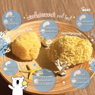 Baby Moby ฟองน้ำ ธรรมชาติ อาบน้ำเด็กทารก Premium Natural Sea Sponge รุ่น Honeycomb/Fine Silk