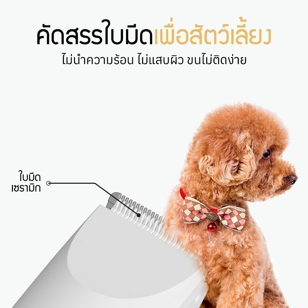 รูปภาพ 4
