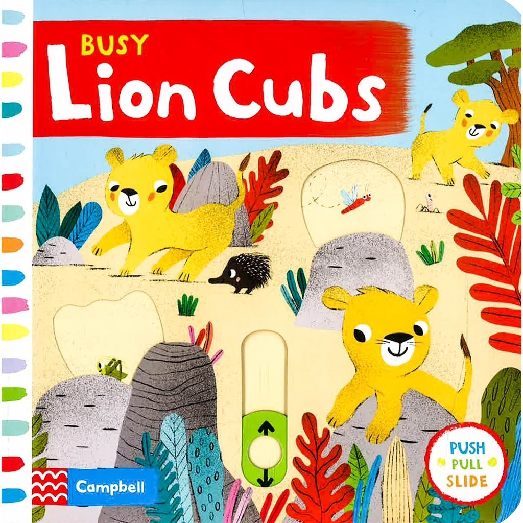 BBW หนังสือ Campbell: Busy Lion Cubs Lift The Flap ISBN: 9781529005028