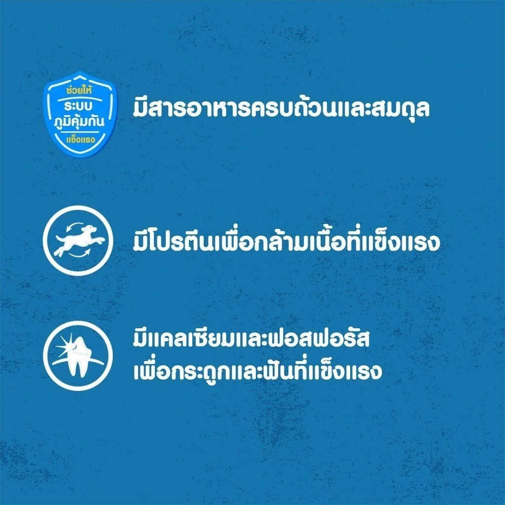 PEDIGREE อาหารสุนัขเปียกในน้ำเกรวี่ สุนัขโต/ลูกสุนัข thumbnail 6