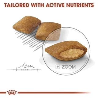 Royal Canin Mini Exigent 3kg อาหารเม็ดสุนัขโต พันธุ์เล็ก ช่างเลือกอาหาร อายุ 10 เดือนขึ้นไป (Dry Dog Food, โรยัล คานิน)