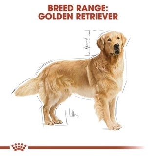 Royal Canin Golden Retriever Adult 12kg อาหารเม็ดสุนัขโต พันธุ์โกลเด้นรีทรีฟเวอร์ อายุ15เดือนขึ้นไป Dog Food,โรยัล คานิน