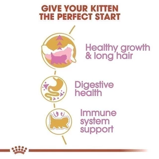 Royal Canin Kitten Persian 4kg อาหารเม็ดลูกแมว พันธุ์เปอร์เซียน อายุ 4-12 เดือน (Dry Cat Food, โรยัล คานิน)