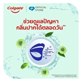 [มี 2 แพ็คให้เลือก] Colgate คอลเกต พลักซ์ เฮอร์เบิล ดีท็อกซ์ 500 มล. Colgate Plax Herbal Detox Mouthwash 500ml