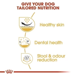 Royal Canin Shih Tzu Adult 1.5kg อาหารเม็ดสุนัขโต พันธุ์ชิห์สุ อายุ 10 เดือนขึ้นไป (Dry Dog Food, โรยัล คานิน)