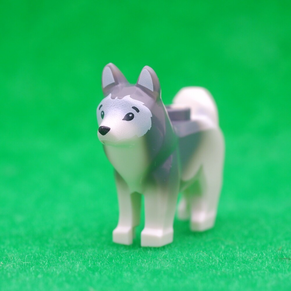 ( Ploybrick Minifigure ของแท้ ) Husky Dog Animal สัตว์