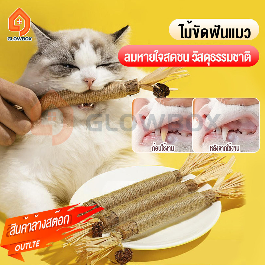 GB.ส่งจากไทย ไม้แมวเมา ไม้ขัดฟันแมว ลดคราบหินปูน ของเล่นแมว มาทาบิ ไม้มาทาทาบิ กัญชาแมว ขนาดเหมาะกับแมวมากที่สุด
