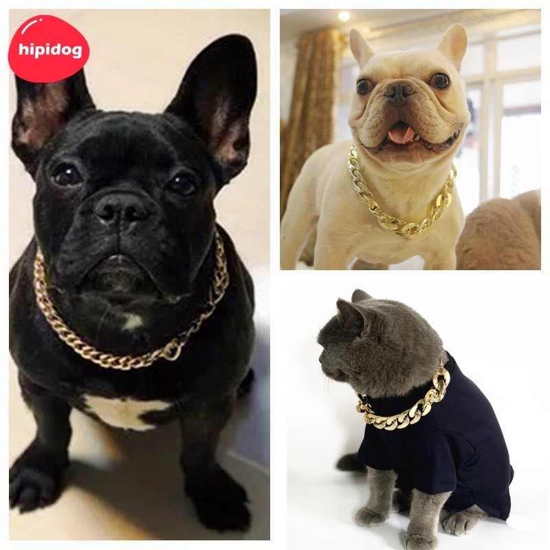 【Hipidog】ปลอกคอพลาสติก ชุบทอง แบบหนา ปรับระดับได้ ขนาดกลาง และขนาดใหญ่ สําหรับฝึกสุนัขบูลด็อก