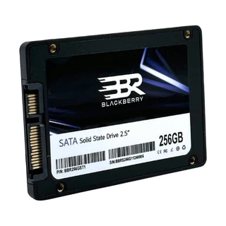 BLACKBERRY 256 GB SSD SATA (BBR256GST1) - A0164959