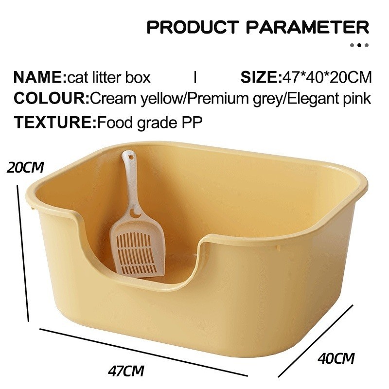 รูปภาพ 8