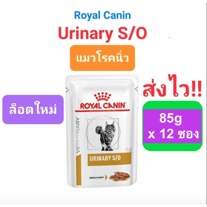 Royal Canin Urinary s/o pouch แมว ยกโหล 85g x 12 ซอง โรยัลคานิน อาหารเปียก แมวโรคนิ่ว นิ่วแมว 85 กรัม x 12 ซอง