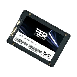 BLACKBERRY 256 GB SSD SATA (BBR256GST1) - A0164959