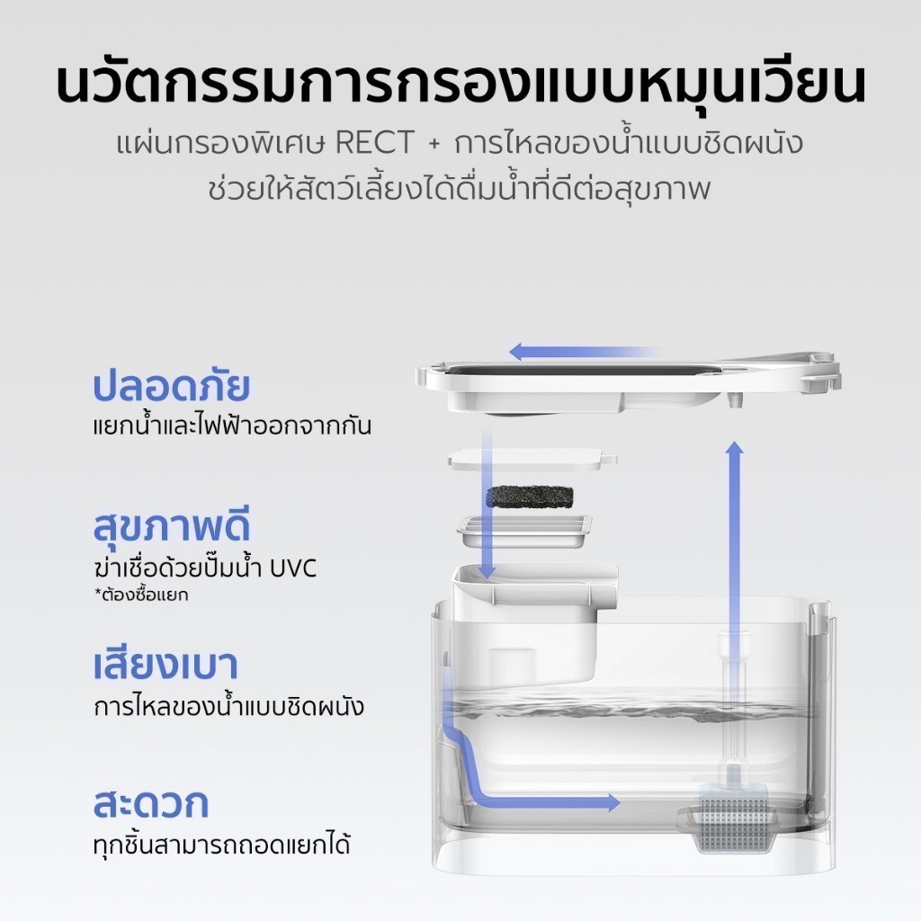 รูปภาพ 8