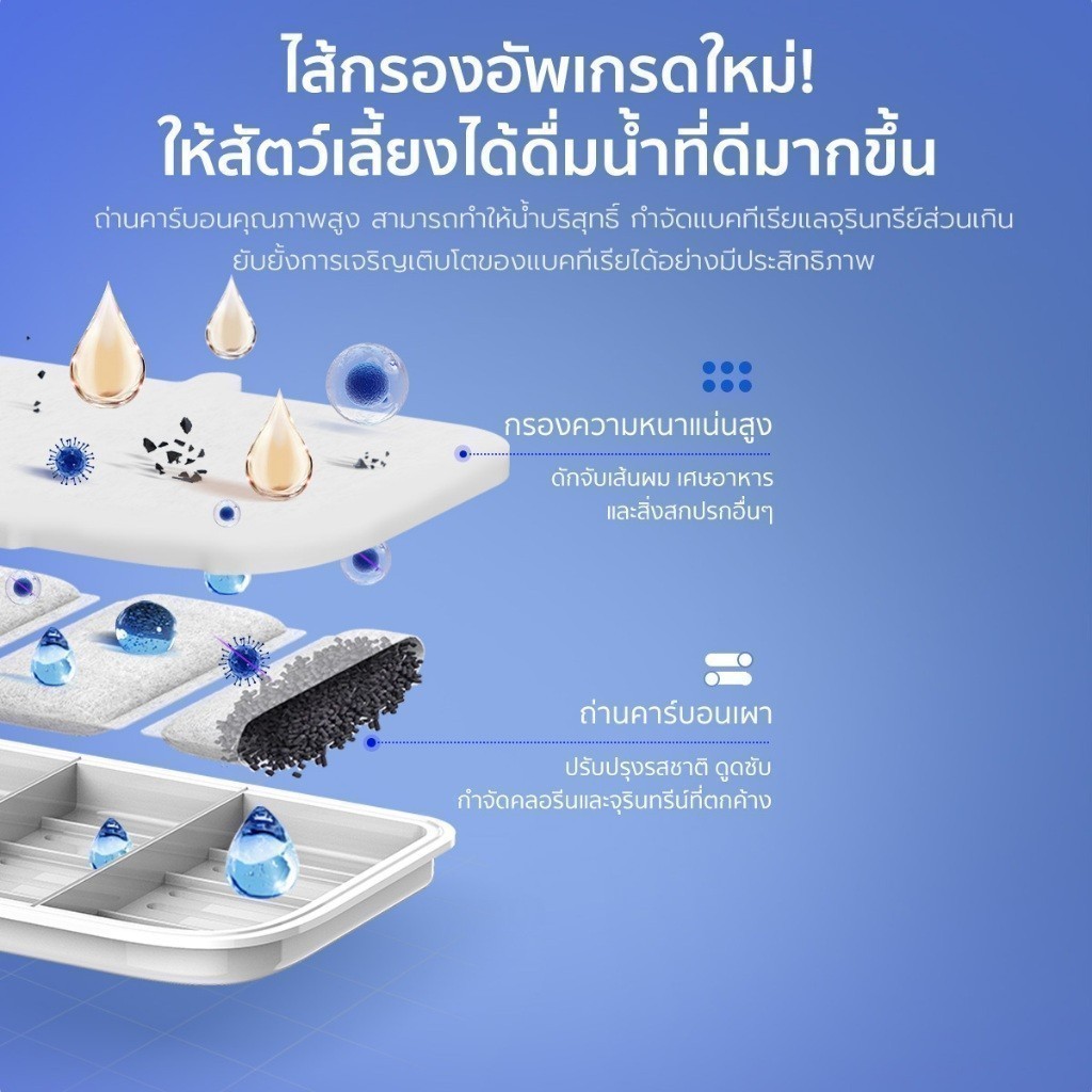 รูปภาพ 5