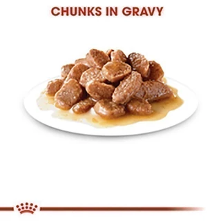 [12 ซอง] Royal Canin Urinary Care Pouch Gravy อาหารเปียกแมวโต ดูแลระบบทางเดินปัสสาวะ อายุ 12 เดือนขึ้นไป (โรยัล คานิน)