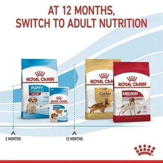 Royal Canin Medium Puppy 1kg อาหารเม็ดลูกสุนัข พันธุ์กลาง อายุ 2-12 เดือน (Dry Dog Food, โรยัล คานิน)